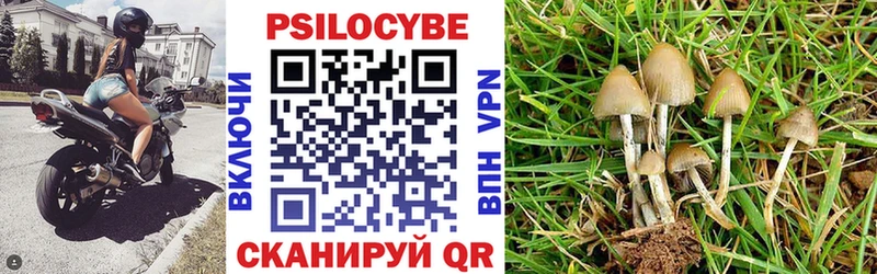 Псилоцибиновые грибы Magic Shrooms  Купить  Нефтекумск 
